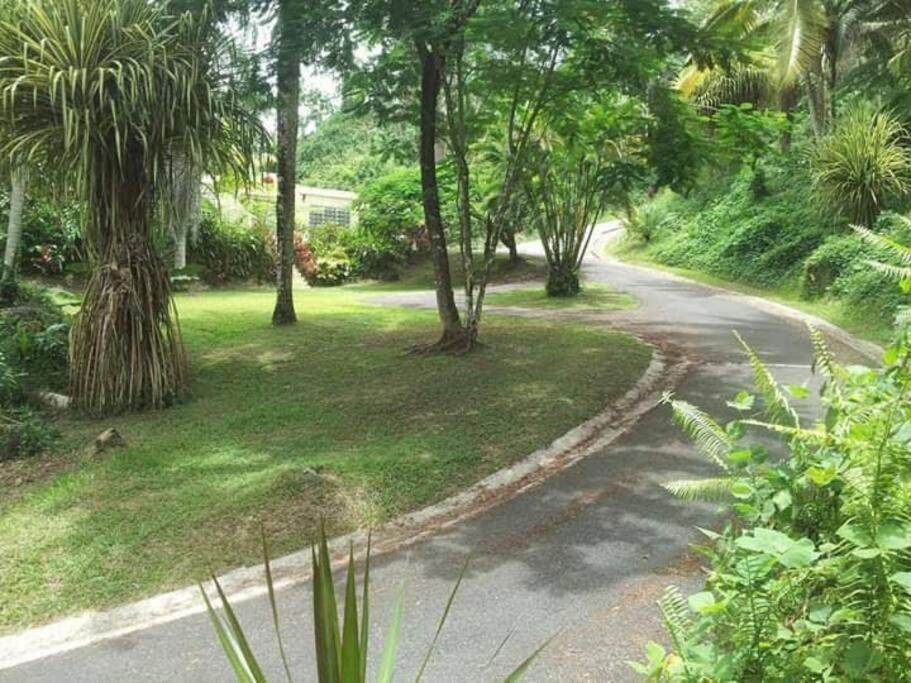 Ferienwohnung Swim & Paint Art Retreat Las Piedras Exterior foto