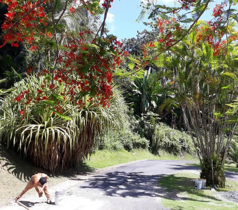 Ferienwohnung Swim & Paint Art Retreat Las Piedras Exterior foto