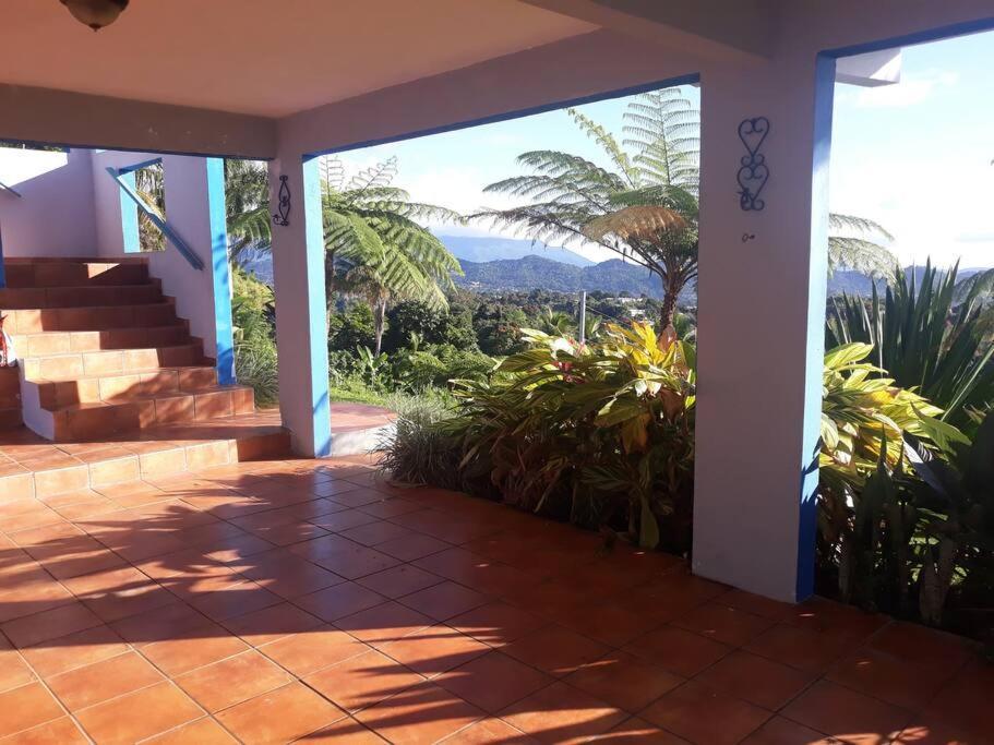 Ferienwohnung Swim & Paint Art Retreat Las Piedras Exterior foto