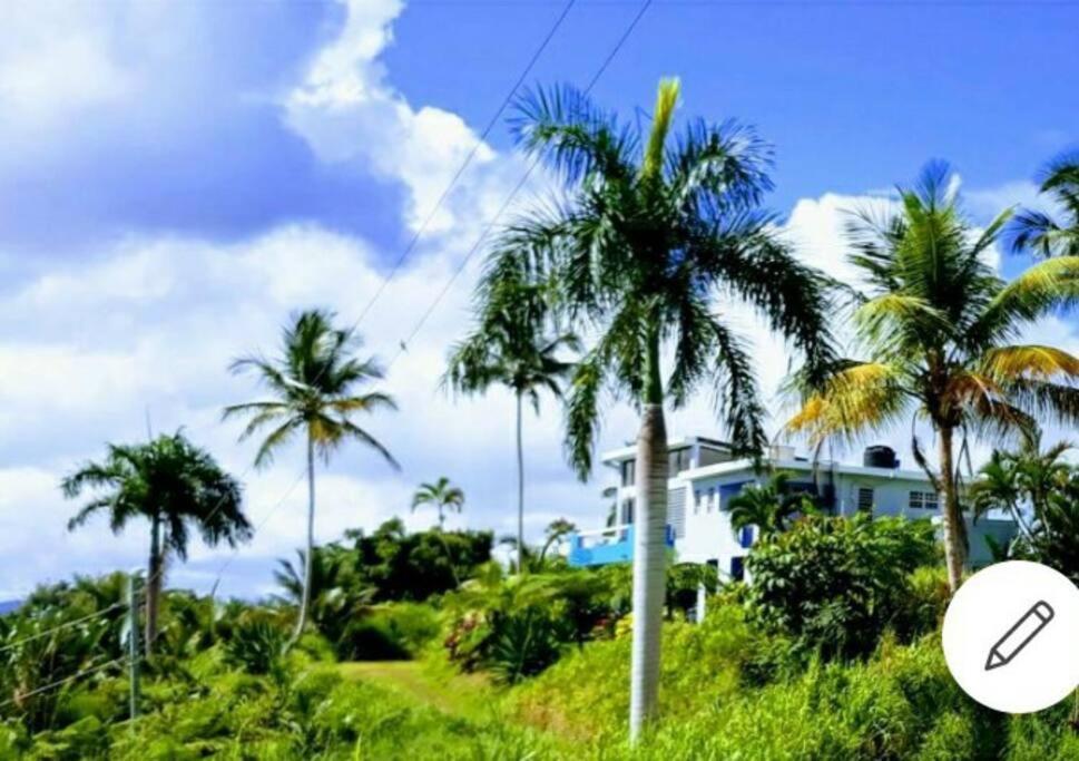 Ferienwohnung Swim & Paint Art Retreat Las Piedras Exterior foto