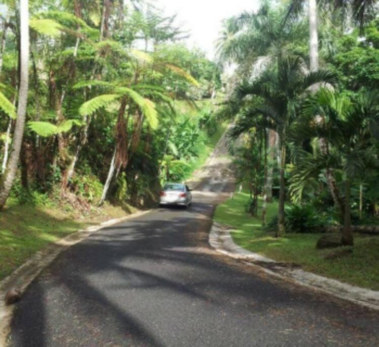 Ferienwohnung Swim & Paint Art Retreat Las Piedras Exterior foto