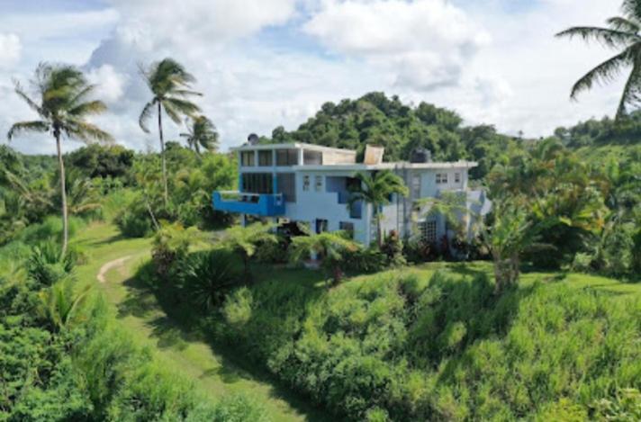 Ferienwohnung Swim & Paint Art Retreat Las Piedras Exterior foto