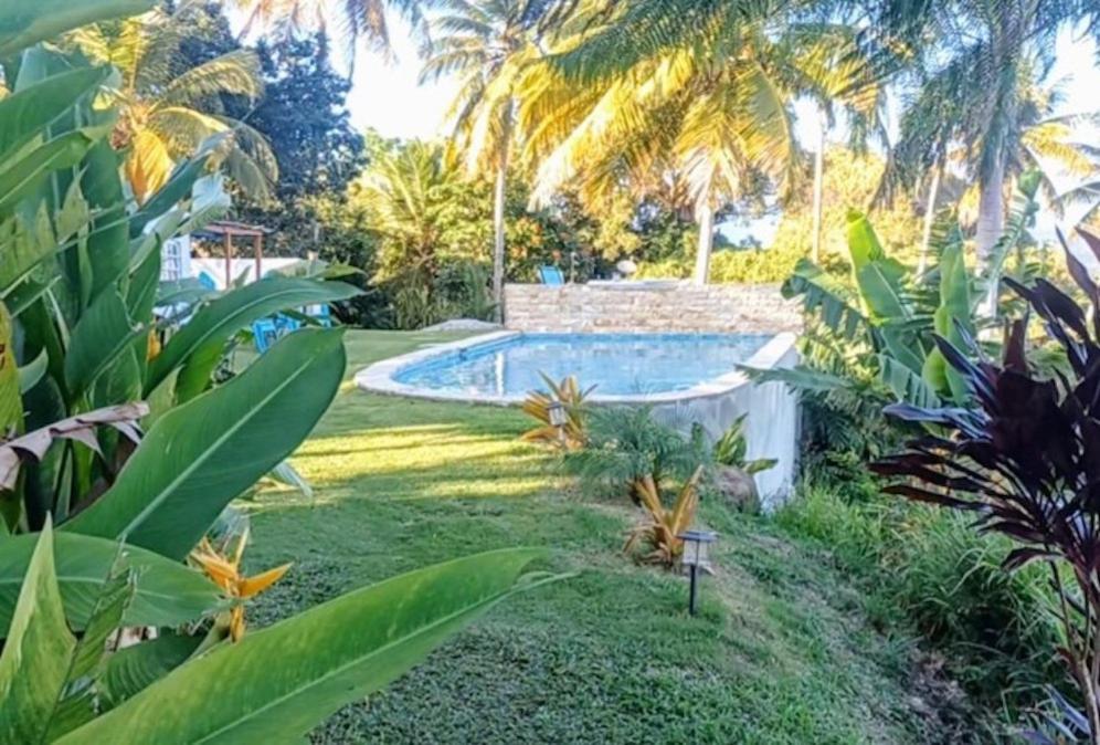 Ferienwohnung Swim & Paint Art Retreat Las Piedras Exterior foto